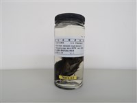 藏品(東方毛腳燕)的圖片